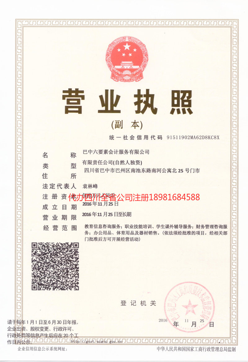 靖西靖西六要素会计服务有限公司